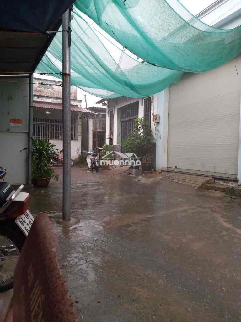Cho thuê nhà mới sạch sẽ cấp 4 có 1p ngủ ấp 1 vla gần uỷ ban giá rẻ - Ảnh 3