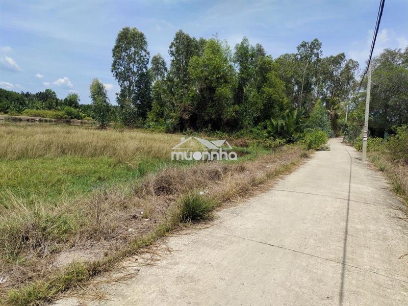 Giá ngộp bán gấp 3,9tỷ/1100m2 mặt tiền cá súc, bình khánh, cần giờ