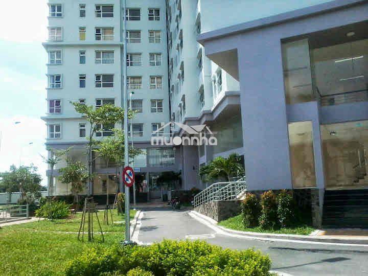 Bán căn hộ gò vấp