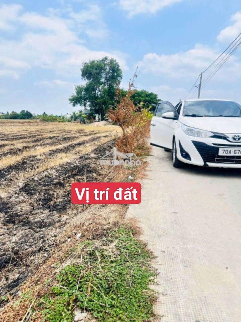 5×40 thổ đường lớn sát chợ go đen mỹ yên bến lức  1 tỷ 250 triệu rẻ 