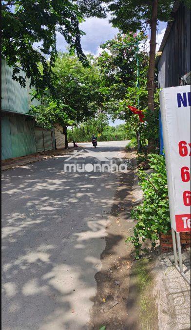Bán đất mặt tiền đường 6m,  gần chợ đầu mối, gần quốc lộ 13  - Ảnh 3