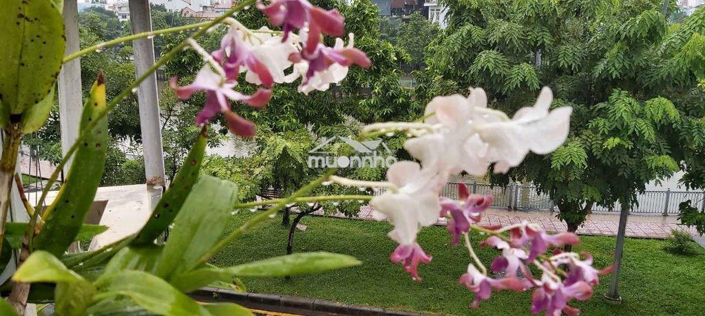 Cần bán gấp nhà - 3
