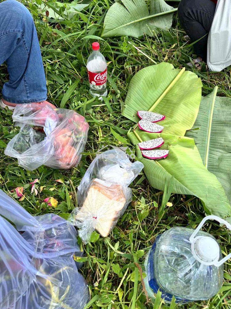 Đất sào cây ăn trái ngay chợ bình lộc - long khánh, sổ riêng, giá rẻ - Ảnh 4