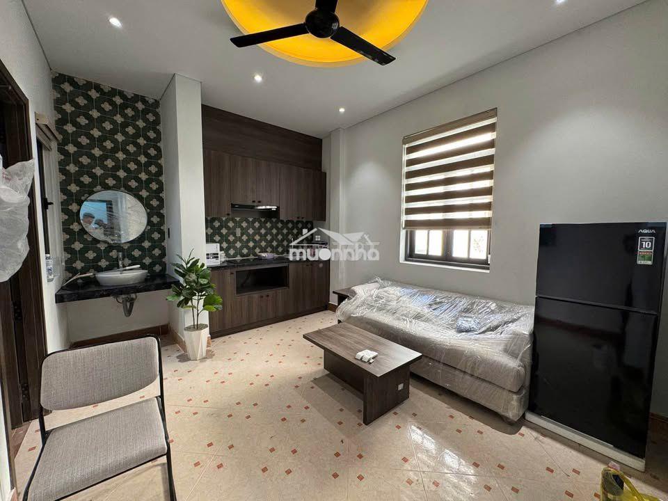 Bán căn hộ mini đường mai lão bạng - Ảnh 2
