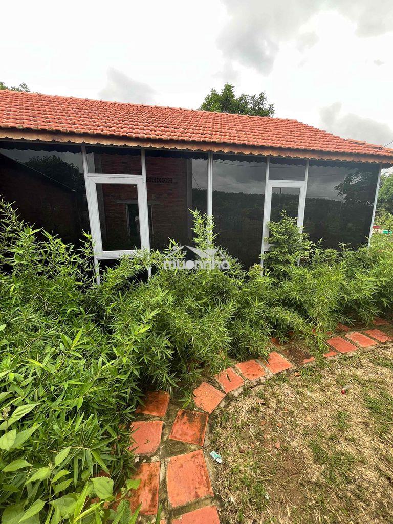 Nhà vườn 2 mặt tiền tâm huyết. - Ảnh 4