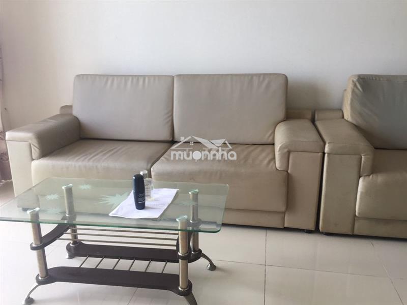 Cần cho thuê căn hộ hoa sen, lạc long quân , q.11