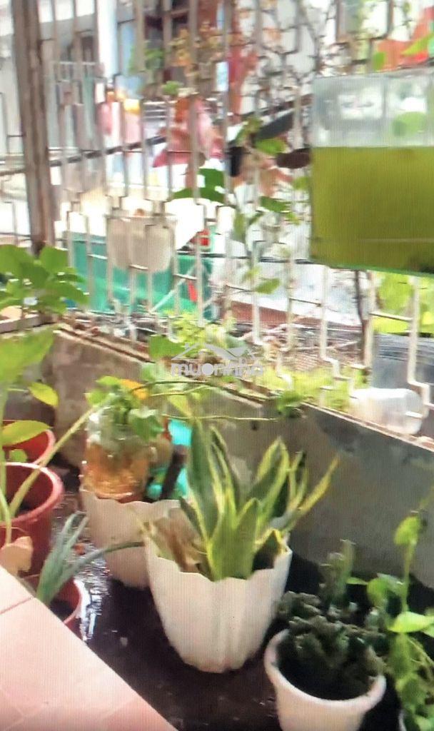 Cho thuê căn hộ chung cư đầy đủ tiện nghi vào ở liền; miễn trung gian - Ảnh 2