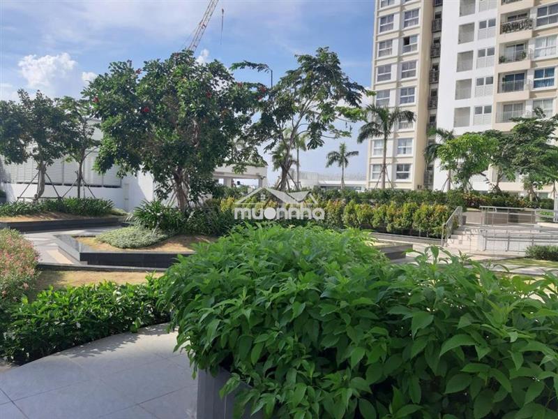 Cho thuê căn hộ cộng hòa garden  77m2, 2pn, giá: 13tr