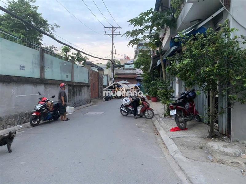 Cho thuê biệt thự mini vườn 14tr 10x20 p. bình hưng hòa b, bình tân