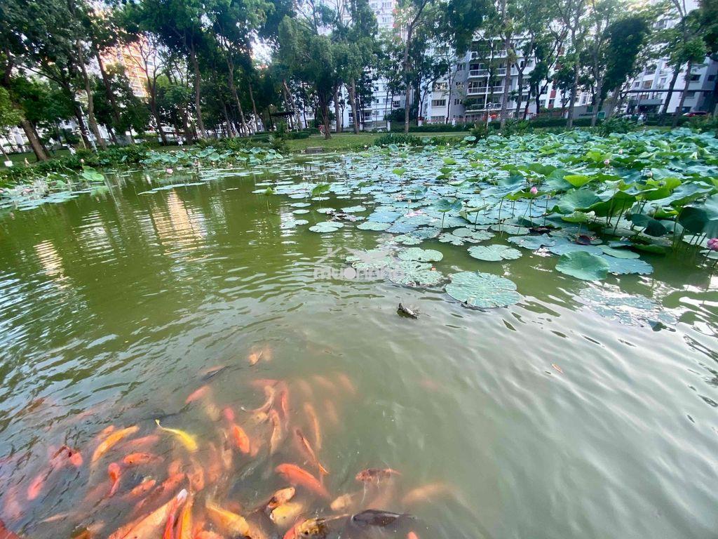 Cho thuê căn hộ tầng 5 trệt trên không,104 m2 - Ảnh 4
