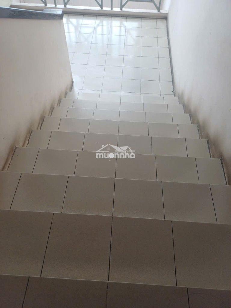 Bán căn hộ cc đầm sen căn góc quận 11, tp.hcm, 52m2