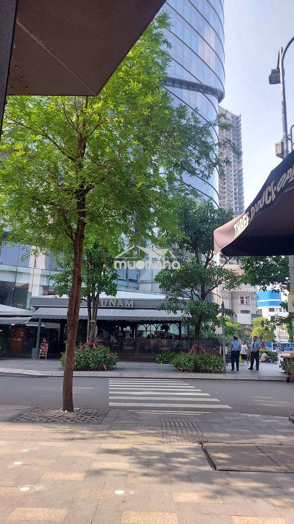 Bán building trần hưng đạo, q.1, 8x24, hầm 7 tầng thang máy, 63 tỷ - Ảnh 4